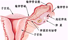 南京京科不孕不育医院健康百科